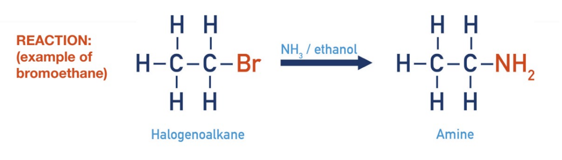 <p>catalyst: heat and ethanol</p><p>products: amine and ammonium halide salt</p>