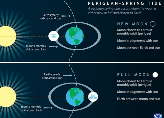 <ul><li><p>occurs during the full &amp; new moon</p><ul><li><p>the combined gravity of the sun &amp; moon produces a stronger tide</p><ul><li><p>higher high tide &amp; lower low tides</p></li></ul></li><li><p>has nothing to do with the season</p></li><li><p>occurs twice each lunar month</p></li><li><p>moon is aligned with sun</p></li></ul></li></ul>