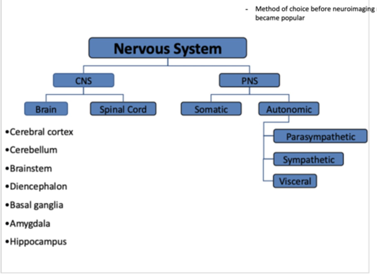 <p>NS- CNS &amp; PNS</p><p>CNS- brain, spinal cord</p><p>PNS- SNS &amp; ANS</p><p>ANS- autonomic, parasympathetic, sympathetic, visceral</p><p>this was the method of choice before neuroimaging methods became popular</p>