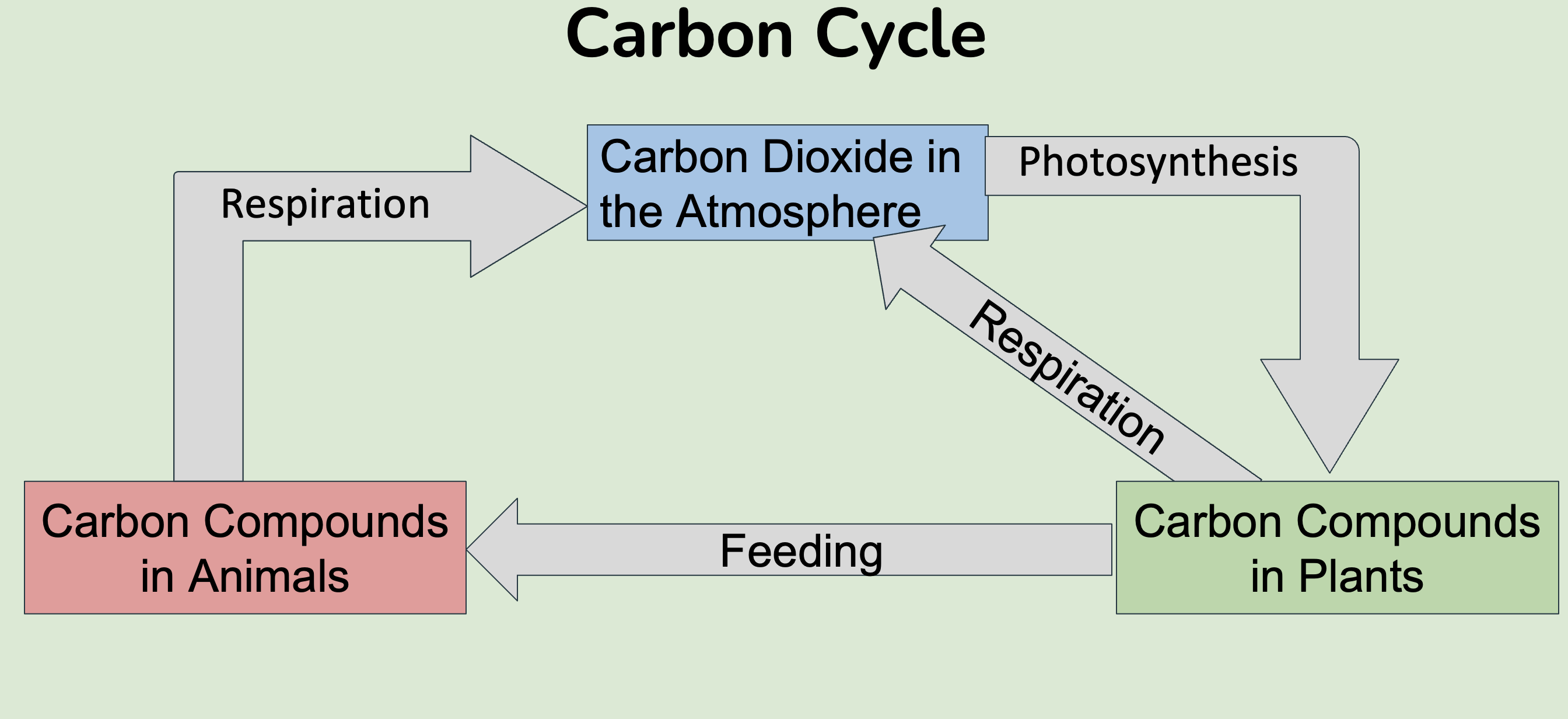 <p>What is a carbon cycle?</p>