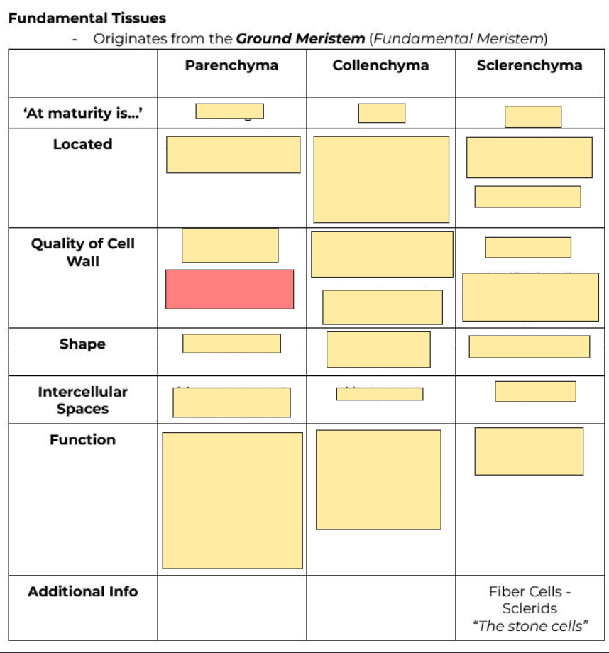 <p>Quality of cell wall?</p>