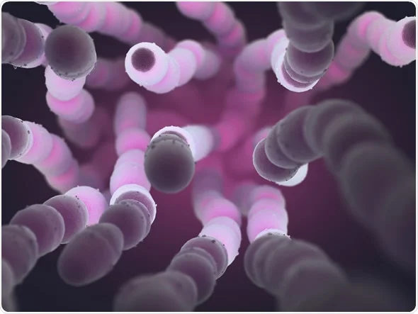 <p>Causa infecciones menores como otitis media aguda y sinusitis. Hasta otras más graves e invasoras como neumonía, meningitis y algunas veces peritonitis. <mark data-color="purple">Gram positiva</mark></p>