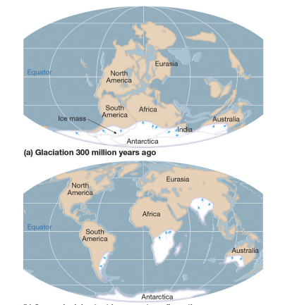 <p><strong>evidence: glacial deposits</strong></p>