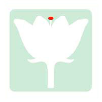 The tip of the female reproductive structure of a flower where the pollen lands