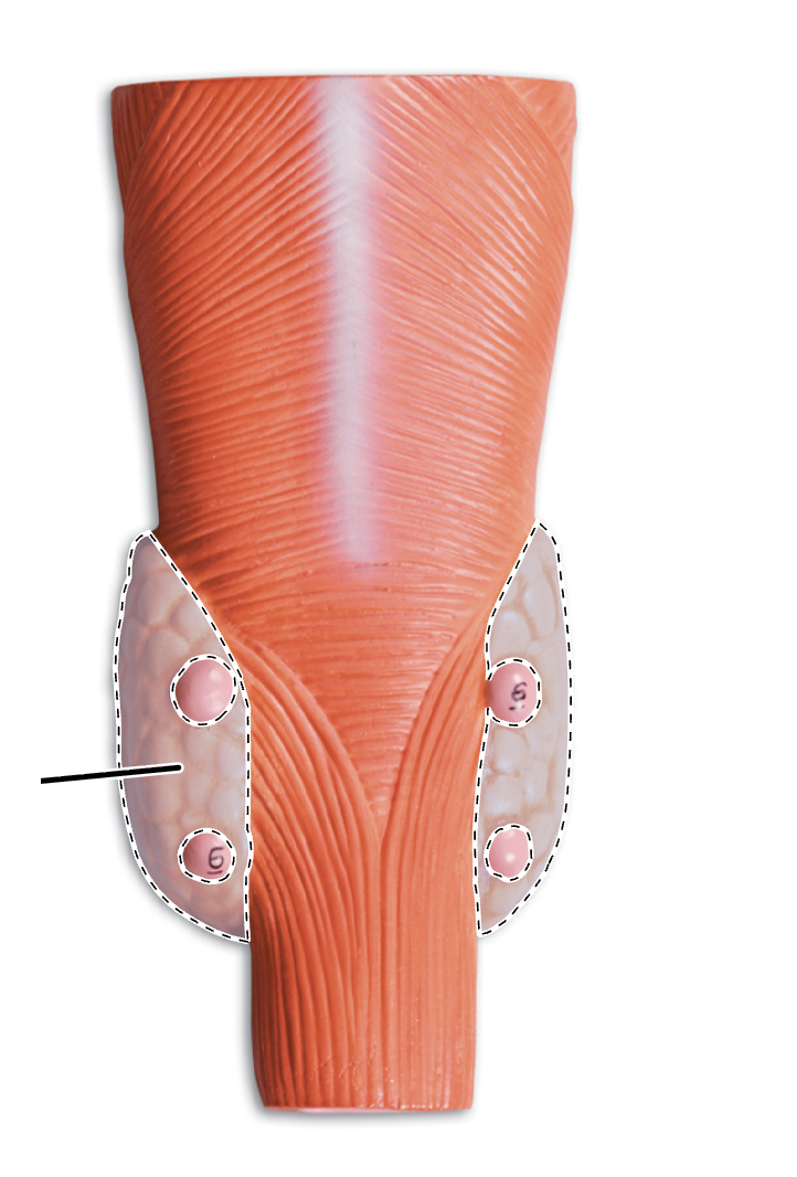 <p>What is this?</p>