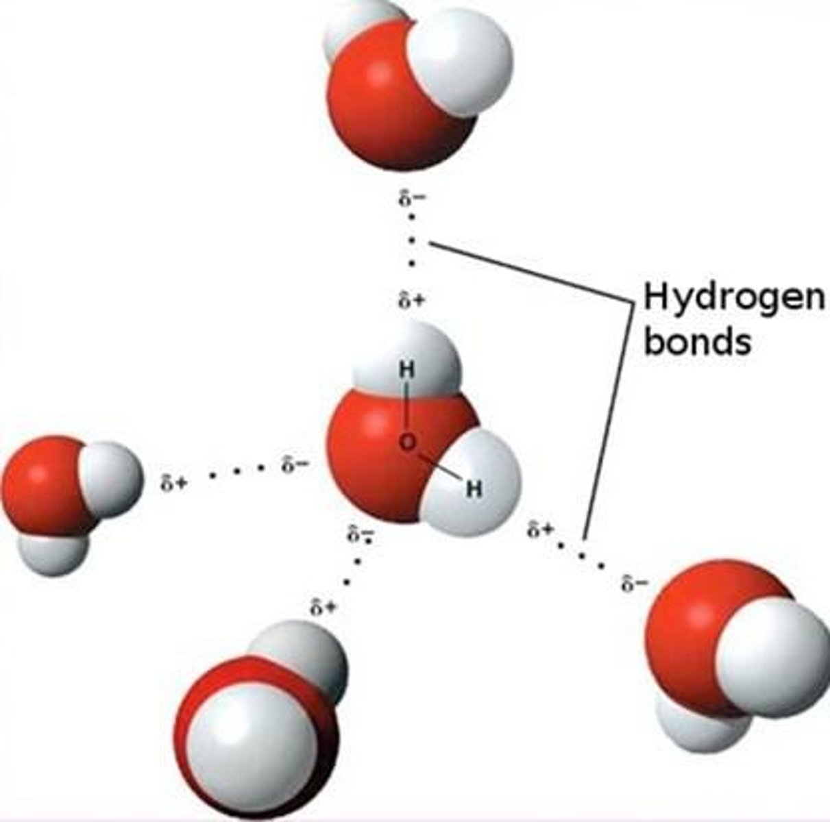 <p>The oxygen atom attracts a greater share of the electrons in each bond it shares with hydrogen.</p>