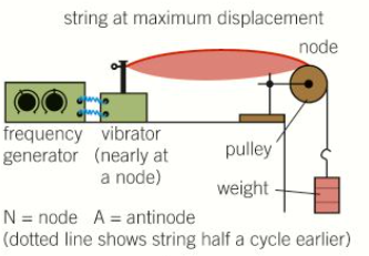 <ul><li><p>String or wire tied at one end to a mechanical vibrator connected to a frequency generator</p></li><li><p>The other end of the string passes over a pulley and supports a weight which keeps tension in the string constant</p></li><li><p>As the frequency of the generator is increased from a very low value, different stationary wave patterns can be observed on the string</p></li><li><p>In every case, the length of the string between the pulley and the vibrator has a node at either end</p></li></ul><p></p>