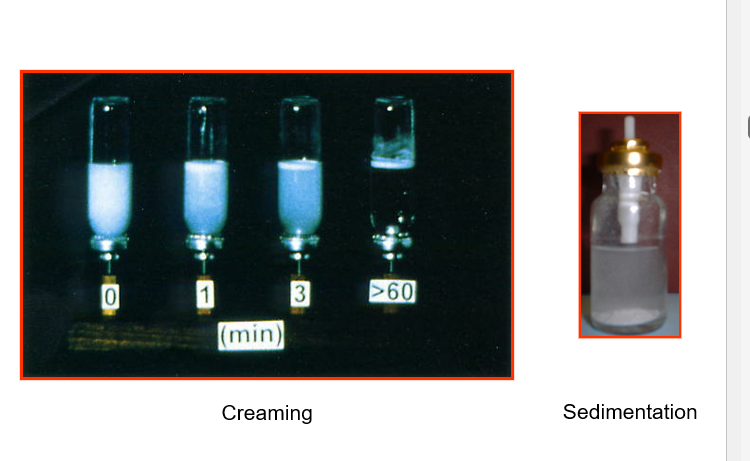 <p><span>•<strong>Rapid Flocculation </strong>- Loose Agglomerates&nbsp; (Interparticulate Forces)</span></p><p><span>•<strong>Bulk Separation </strong>- Creaming or Sedimentation (Density, Particle Size). Creaming = rise to the top. Sedimentation= sink to the bottom. Drug at the top is not delivered </span></p><p><span>•<strong>Irreversible Aggregation </strong>- Ostwald Ripening, Crystal Growth and Caking (Solubility)</span></p><p><span>•<strong>Crystal Structure Instability </strong>- Polymorphic interconversion (different crystal structure)</span></p><p><span>•<strong>Adhesion to the canister</strong> – inside surface often coated, e.g. PTFE</span></p><p></p>