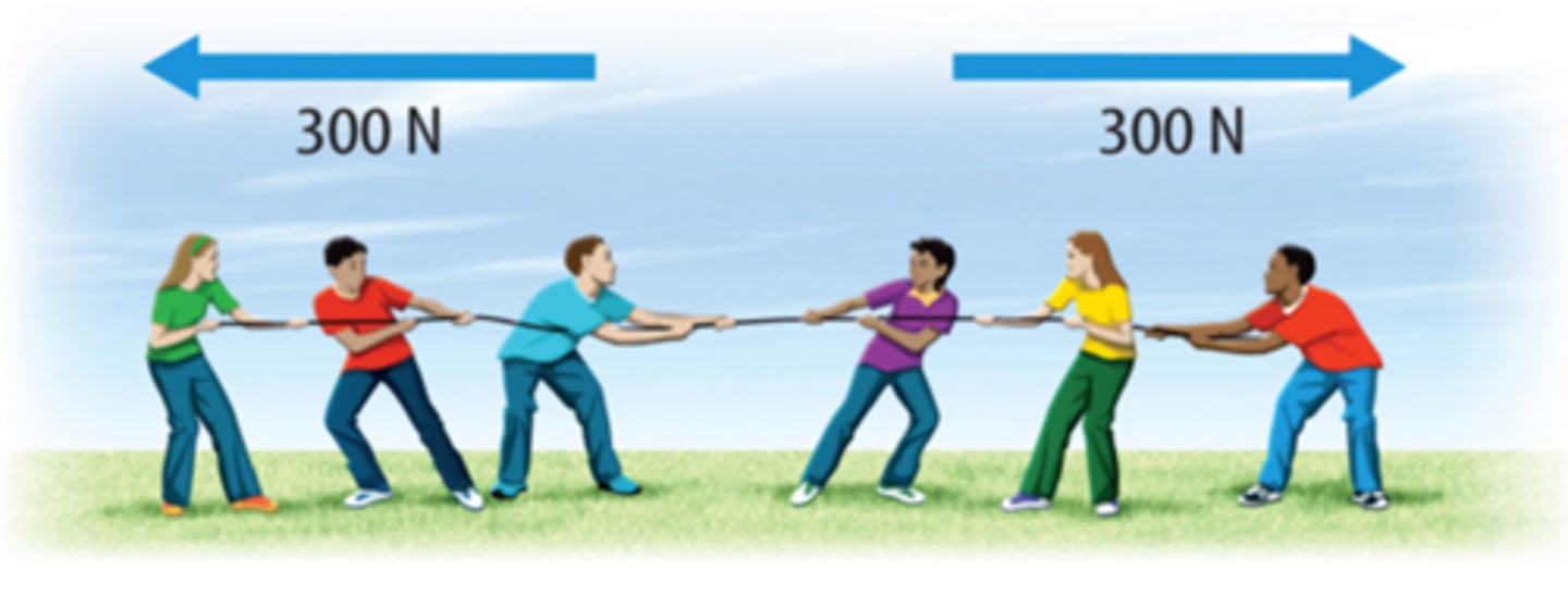 <p>force that does not change the motion of an object; net force =0 (constant speed, no change in direction)</p>