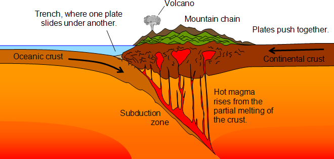 <p>A boundary where an oceanic plate sinks beneath a continental plate, causing earthquakes, volcanoes, and the destruction of crust.</p>