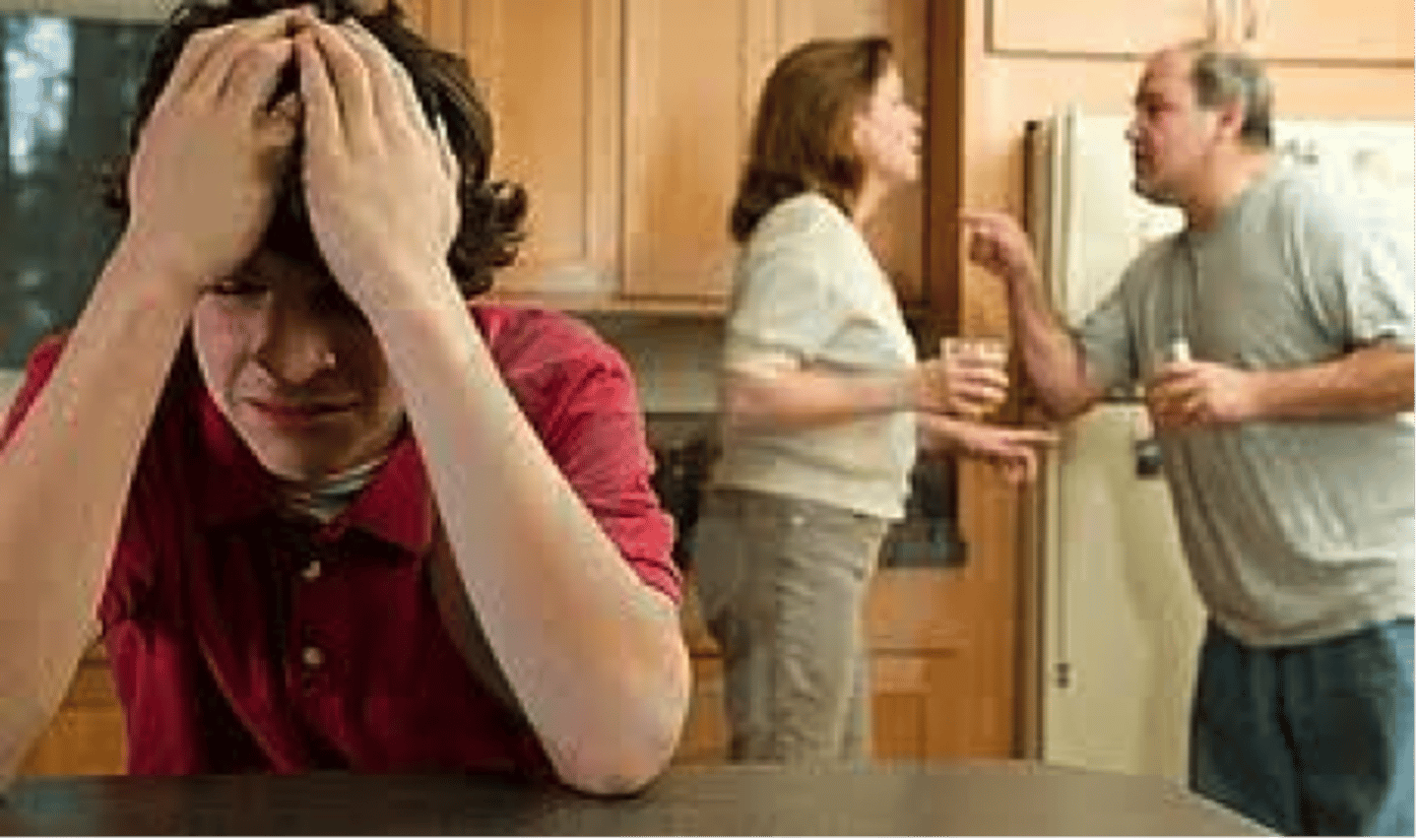 <p>the theory that prejudice offers an outlet for anger by providing someone to blame</p>