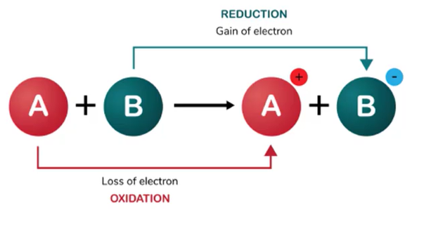 <p>False; oxidation = loss of electrons</p>