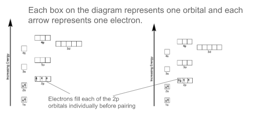 knowt flashcard image