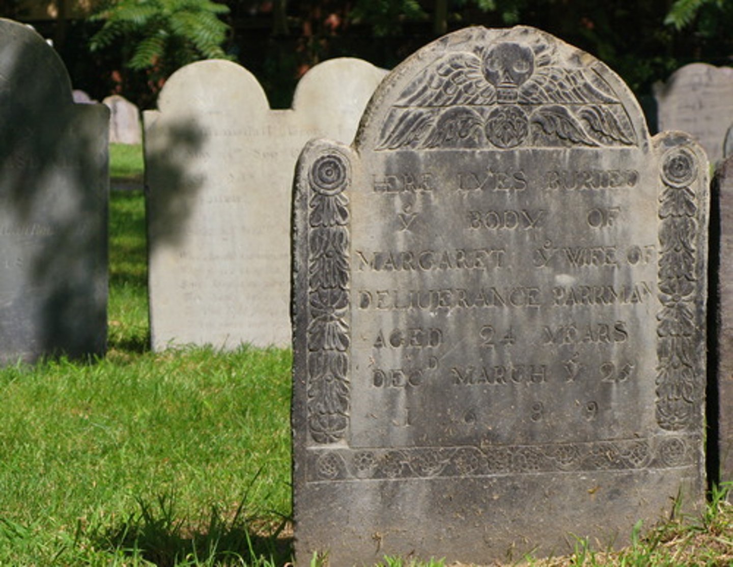 <p>the number of deaths occurring in a population</p>