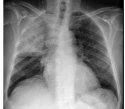 <p>what is this? </p>