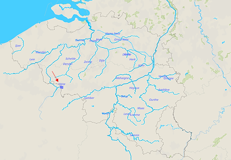 term image