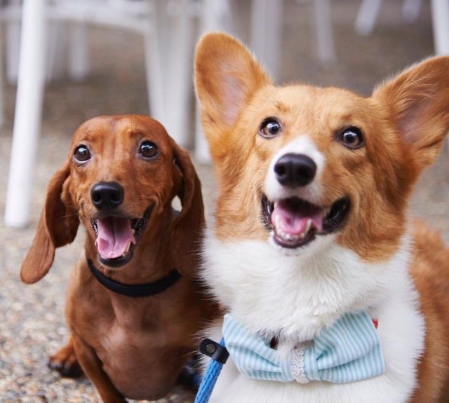 <p>Vilka drabbas och varför?</p>