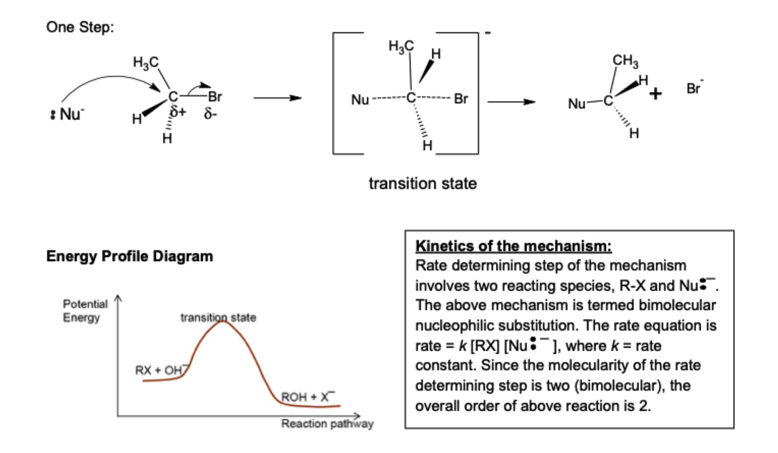 <ul><li><p>primary halogenoalkanes</p></li><li><p>nucleophile backside attack d+ C atom of C-Br bond</p><ul><li><p>nucleophile attacks from back side because electron density mostly on halogen side</p></li><li><p>electrons from nucleophile repel d- halogen, lengthens C-Br bond</p></li></ul></li><li><p>forms 5-membered trigonal bipyramidal transition state (negatively charged)</p><ul><li><p>in transition state, both nucleophile and halogen are partially bonded to same C atom (represented by dotted lines)</p></li><li><p>note: transition state, not intermediate since only 1 step</p></li></ul></li><li><p>concerted: nucleophile backside attack + halogen leaving group at same time, therefore 1 step reaction</p></li><li><p>1-step reaction, rate = k[halogenoalkane][nucleophile], overall order of reaction 2</p></li></ul><p></p>