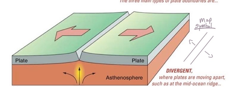 <ul><li><p>mid-ocean ridges</p></li><li><p>continental rifts</p></li></ul><p>new lithosphere is created via the process of <strong><u>spreading/rifting</u></strong></p><p></p>