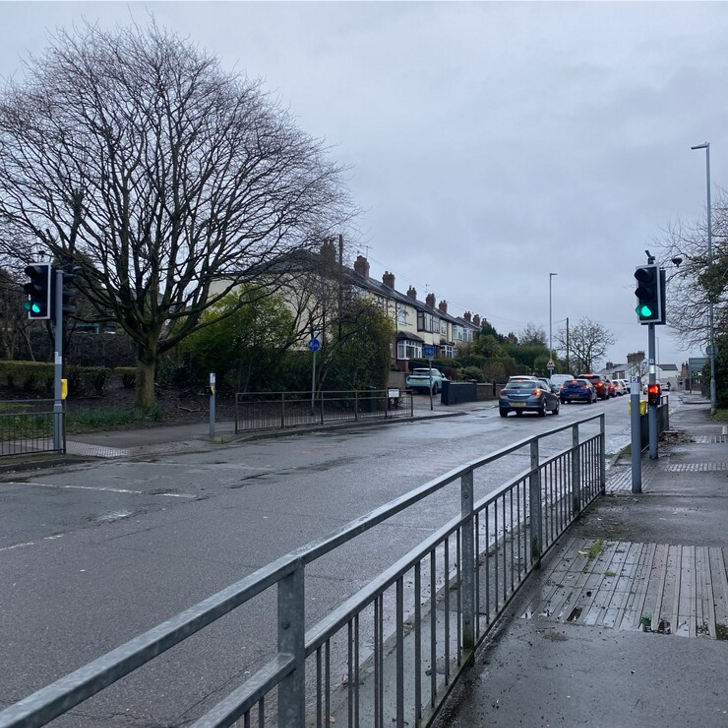 <p>toucan crossing</p>
