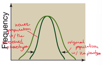 <p>stabilizing selection</p>