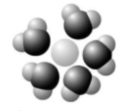 <p>Based on your knowledge of the polarity of water molecules, the solute molecule depicted here is most likely ________.</p><p>A) positively charged</p><p>B) negatively charged</p><p>C) without charge</p><p>D) hydrophobic</p><p>E) nonpolar</p>