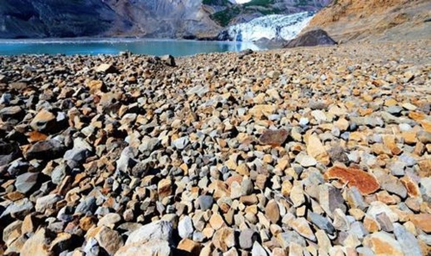 <p>The movement of regolith (soil, sand, and rock) when a slope is too steep to remain stable.</p>