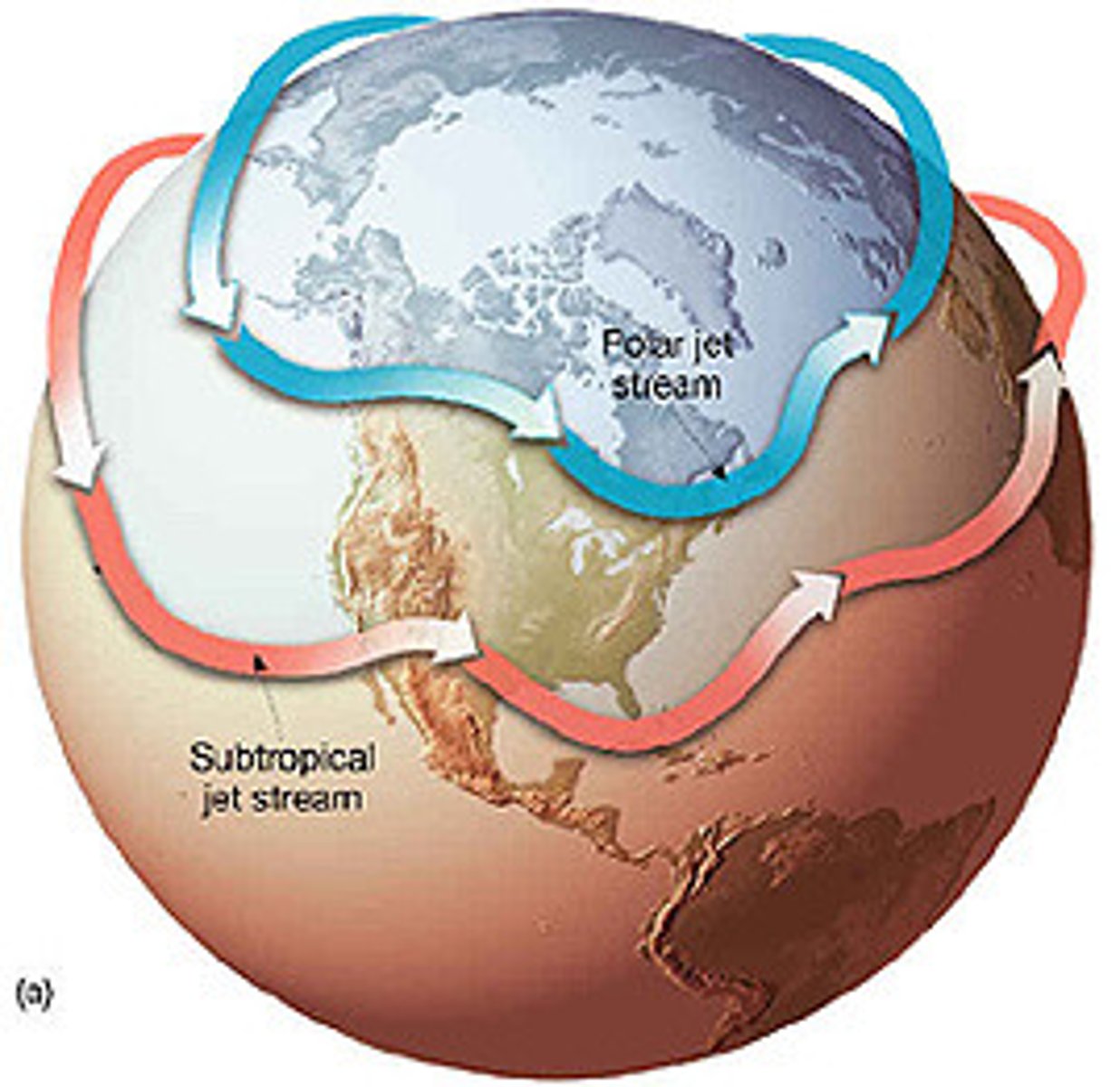 <p>Jet stream found between the Hadley and Ferrel cells</p>