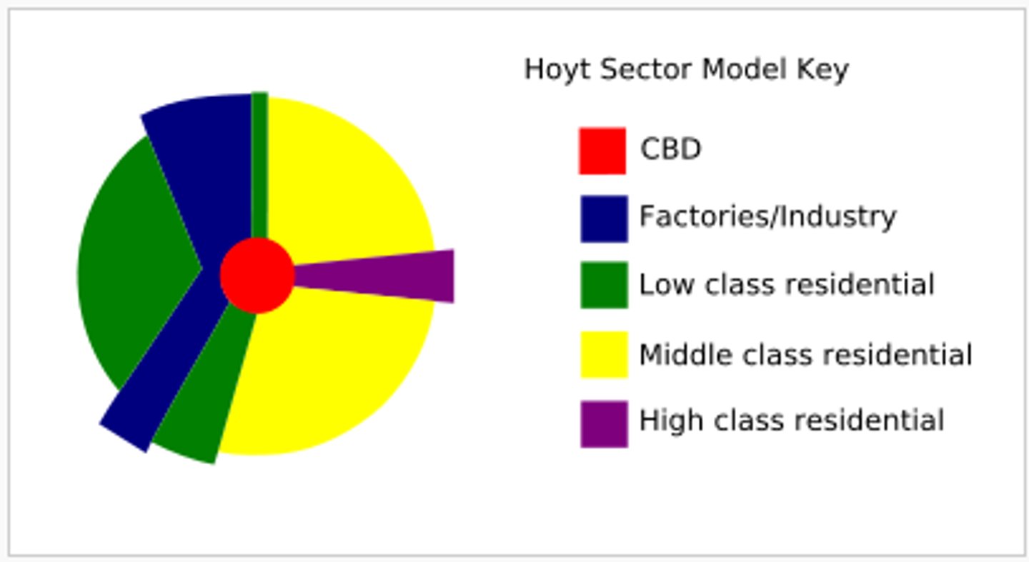 <p>hoyt model</p><p>sectors grow out in wedges around CBD along traditional communication routes</p><p>1. center- CBD</p><p>2. transportation and industry</p><p>3. low class residential (together w 2)</p><p>4. middle class residential</p><p>5. high class residential</p><p>low quality housing next to industrial zone, middle class next to low, high class as far as possible from industry and low class</p>