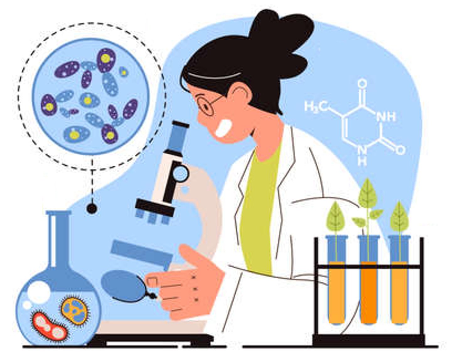 <p>the scientific study of the nature, life, &amp; actions of microorganisms</p>