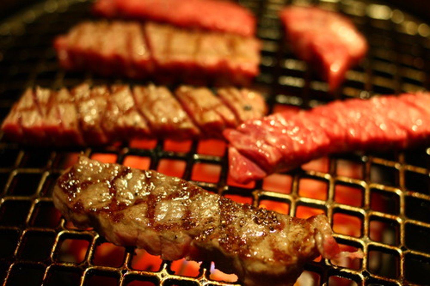 <p>grilled meat</p>