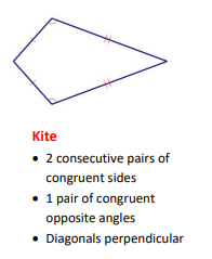 <p>Kite</p>