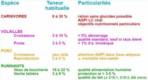 <p>Les besoins en AGE varient en fonction de l’espèce et du stade physiologique de l’animal (Besoins augmentés en période de ponte, repro, âge...). Ces besoins sont exprimés en pourcentage énergétique de la ration. Il n’y a pas de besoins spécifiques en lipides classiques.</p>