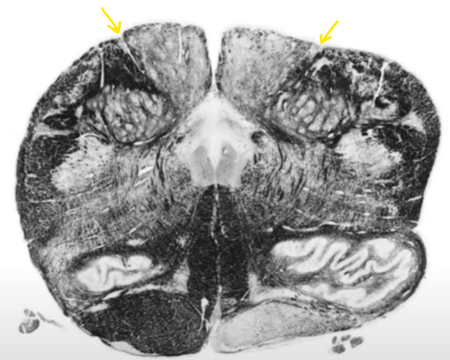 <p>ID the structure</p>