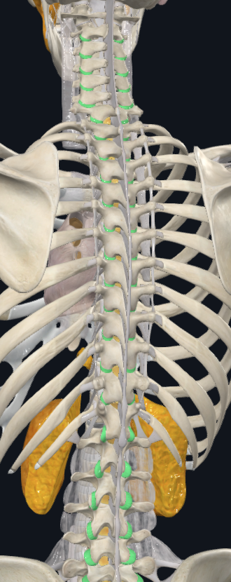 <p>What is highlighted green</p>