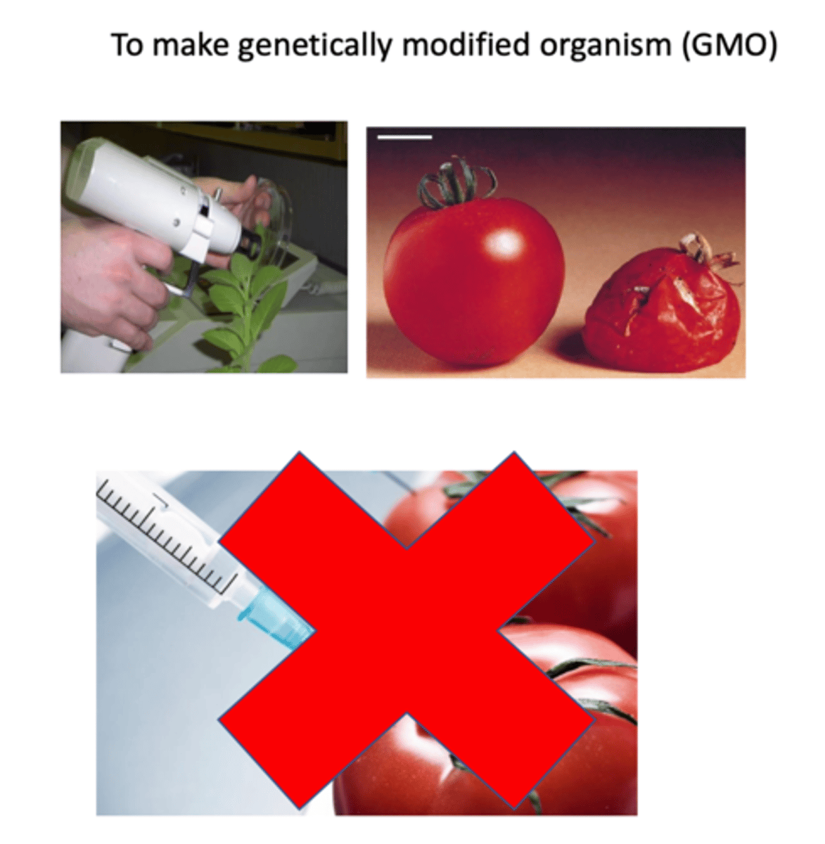 <p>- shooting high velocity nanoparticles via mechanical force</p><p>- high velocity will allow for penetration into cell membrane</p><p>- cannot use needle syringe because it doesn't have a high enough velocity to reach the cell</p><p>used to make genetically modified organisms (GMOs)</p>