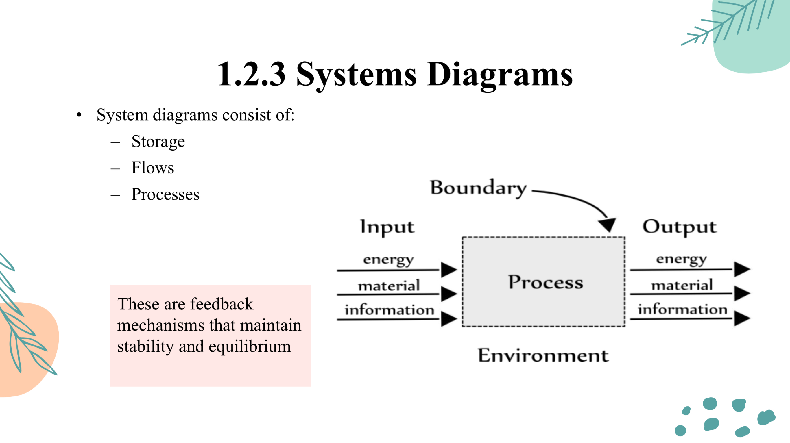 <ul><li><p>Storage </p></li><li><p>Flows </p></li><li><p>Processes </p></li></ul><p></p>