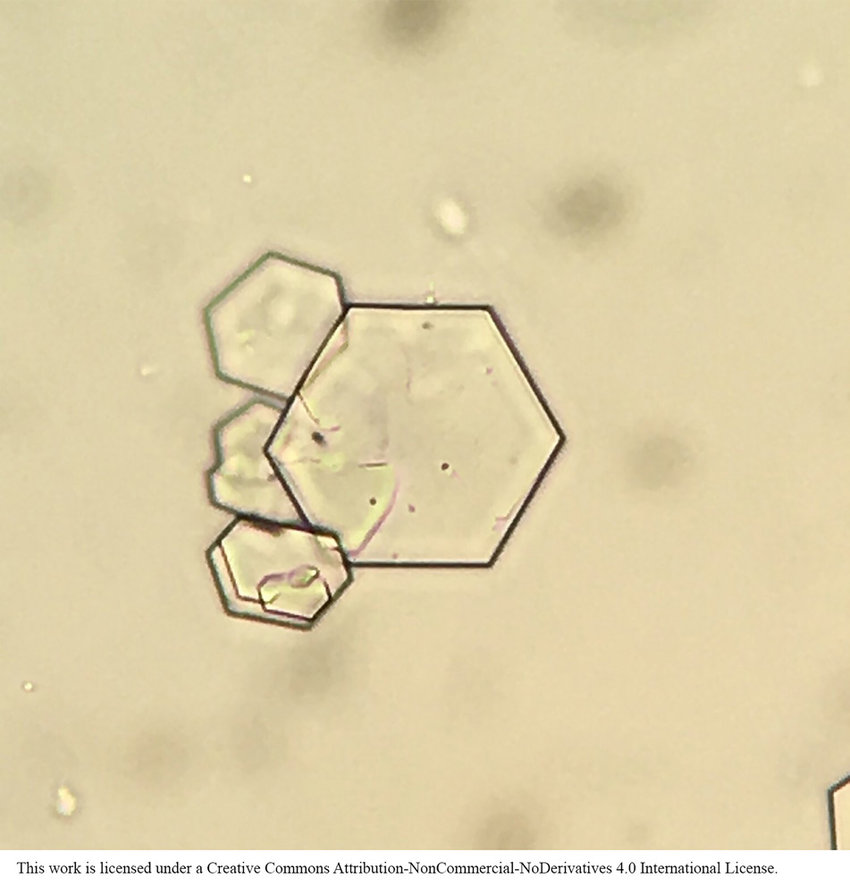 <p>Colorless hexagonal plates</p>