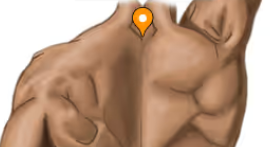<ul><li><p>C7</p></li><li><p>flex head to chin</p></li><li><p>bony protrusion at the back of the spine</p></li></ul><p></p>