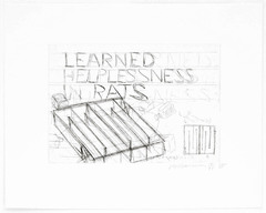 <p>the hopelessness and passive resignation an animal or human learns when unable to avoid repeated aversive events</p>