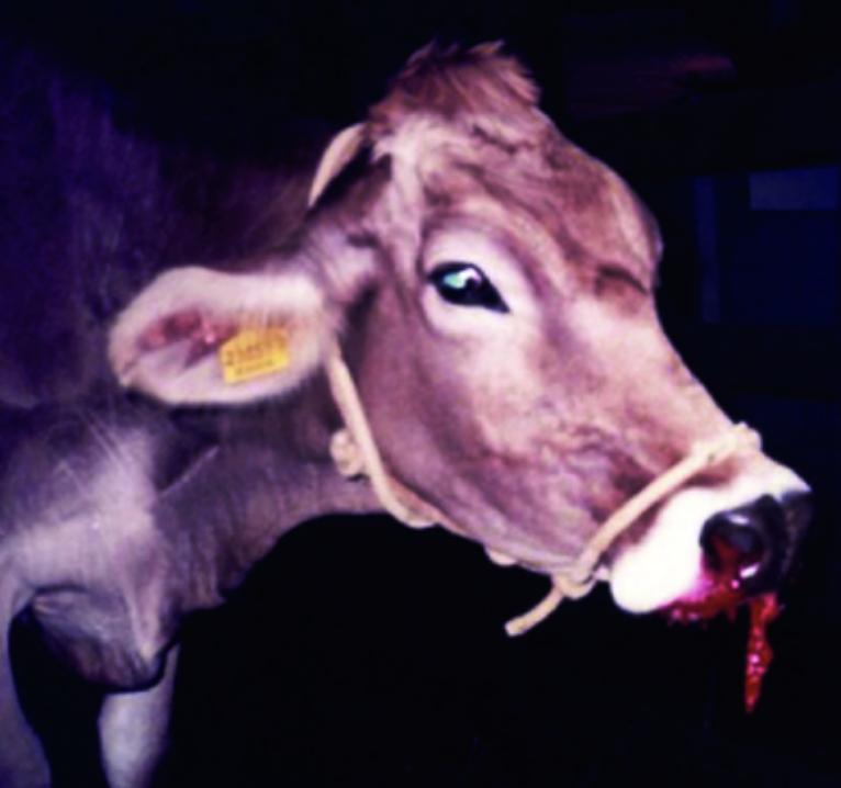 <p>none- this dz is fatal</p>