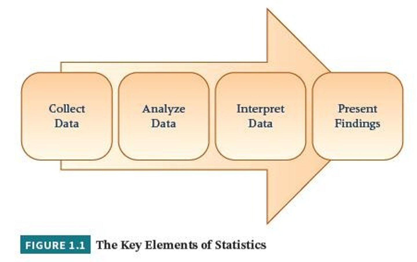 <p>A science dealing with the collection, analysis, interpretation, and presentation of numerical data.</p>