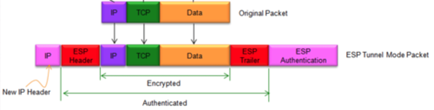 <p>Encrypts the entire original IP packet and adds a new outer IP header for routing</p>