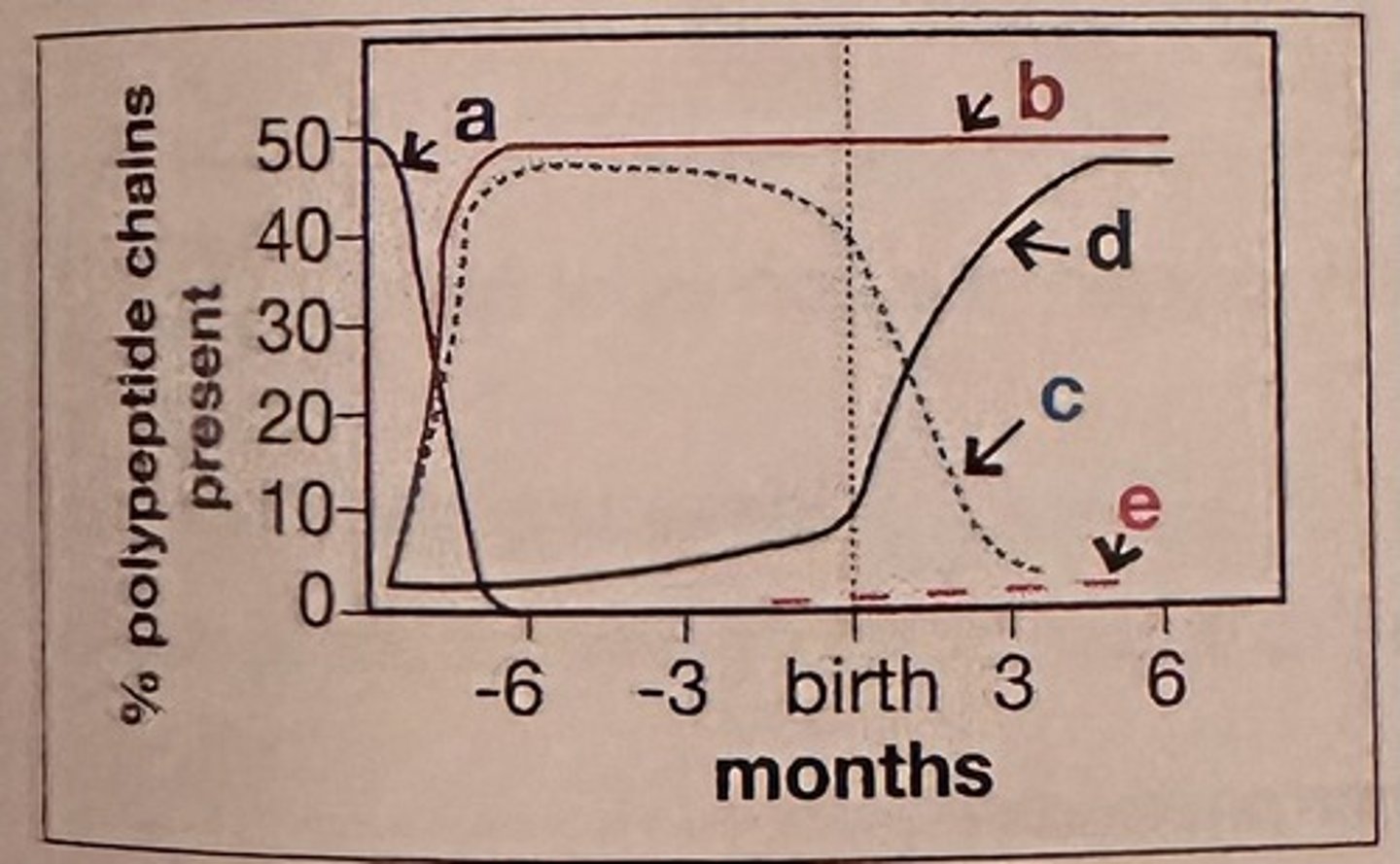 <p>B. Curve b</p><p>Alpha chains, a constituent of embryonic Gower 2 hemoglobin, fetal hemoglobin, and adult hemoglobins A and A2, are synthesized early in gestation and maintained throughout embryonic, fetal, and infant development.</p>