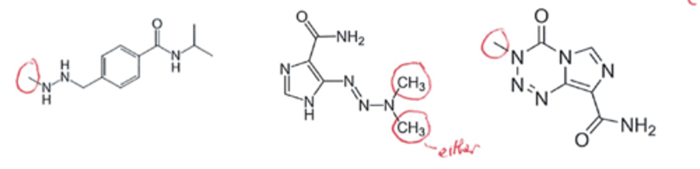 <p>Shown below are three DNA methylating agents employed to inactivate DNA in the treatment of cancer. What role do you think vicinal nitrogen atoms have in this process?</p>