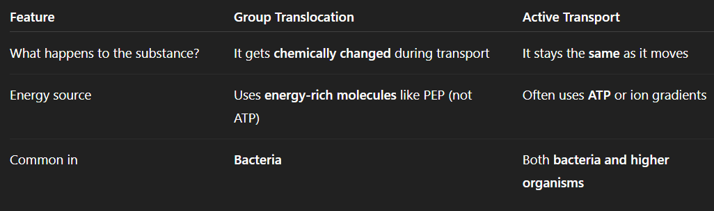 <p>Active transport: Just moves stuff in (like a delivery).</p><p>Group translocation: Moves stuff in and modifies it at the same time (like a delivery plus instant cooking).</p>