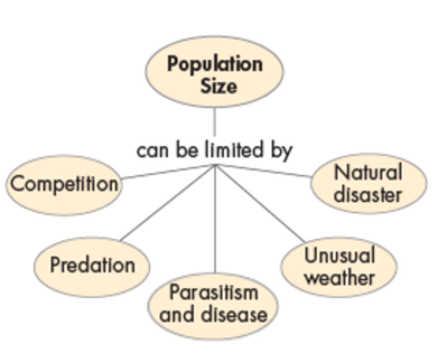 <p>A factor that controls the growth of a population. <br>Examples include: competition, predation, parasitism, and disease</p>
