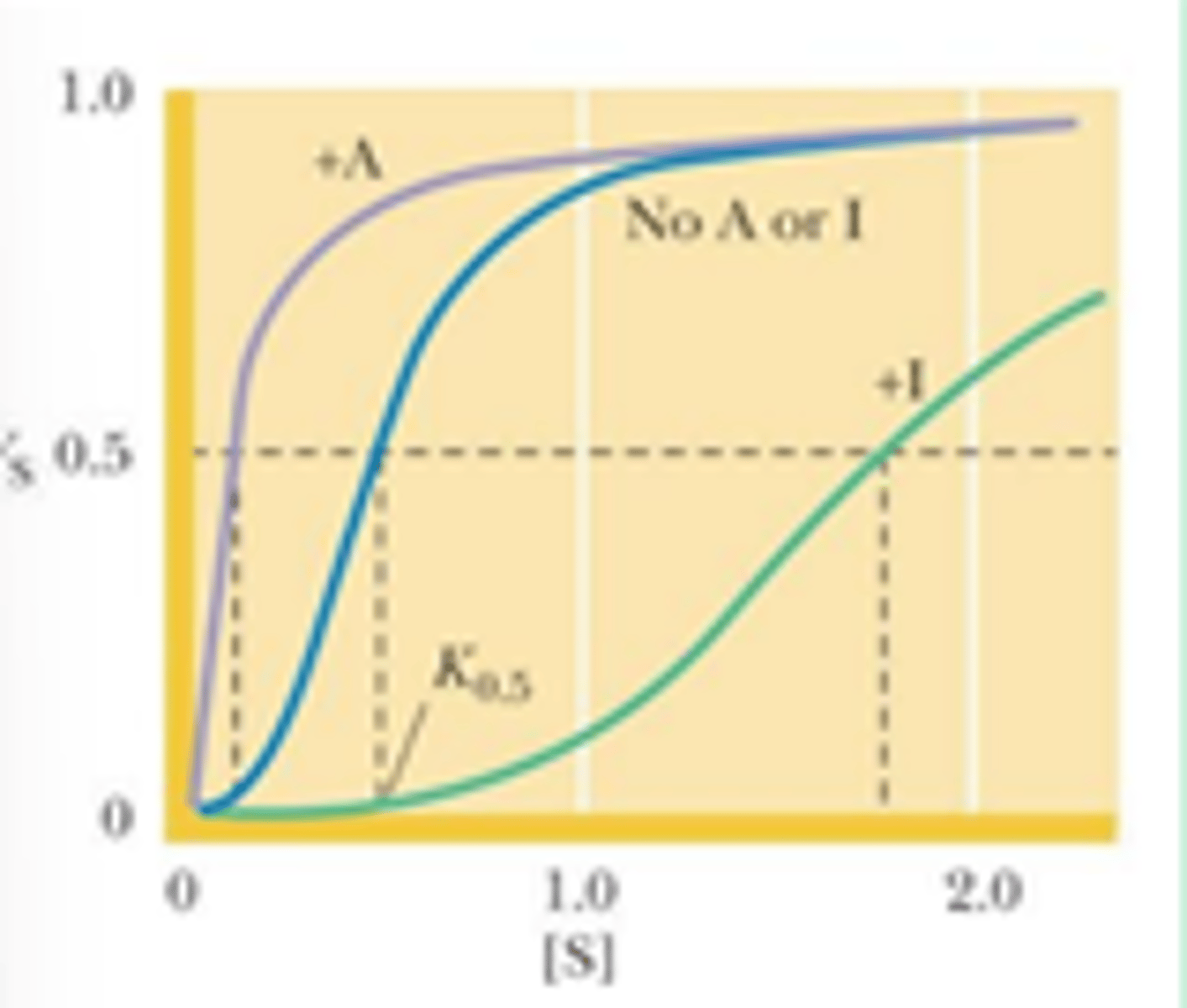 <p>- Vmax does not change</p><p>- Km changes in the the presence of A and I</p>