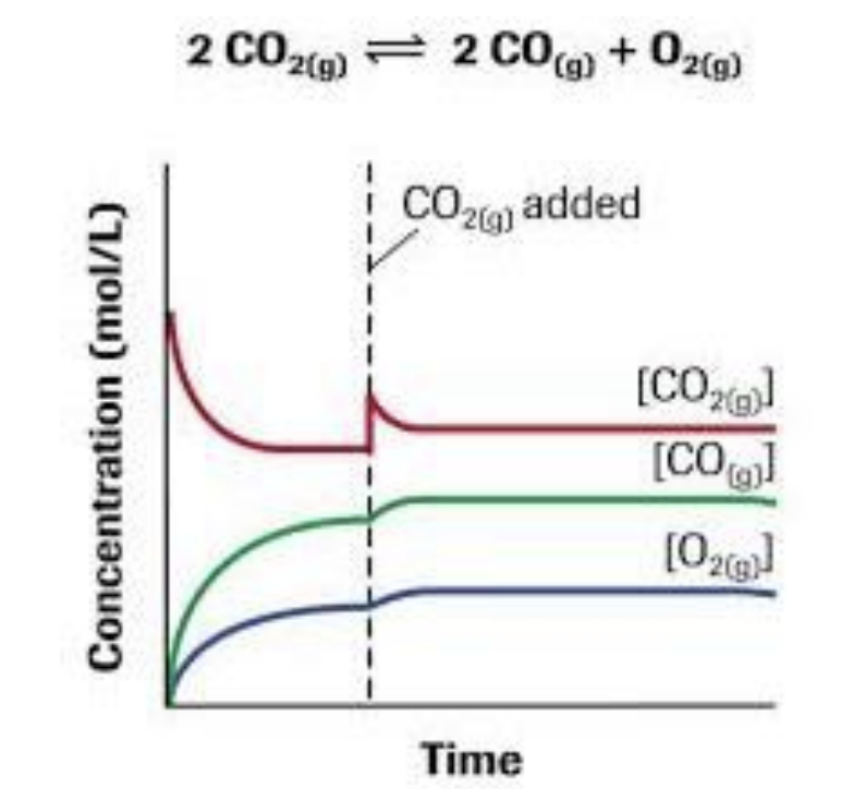 When CO2 is added, reaction shifts right, favours forward reaction, products increase, reactants decrease.