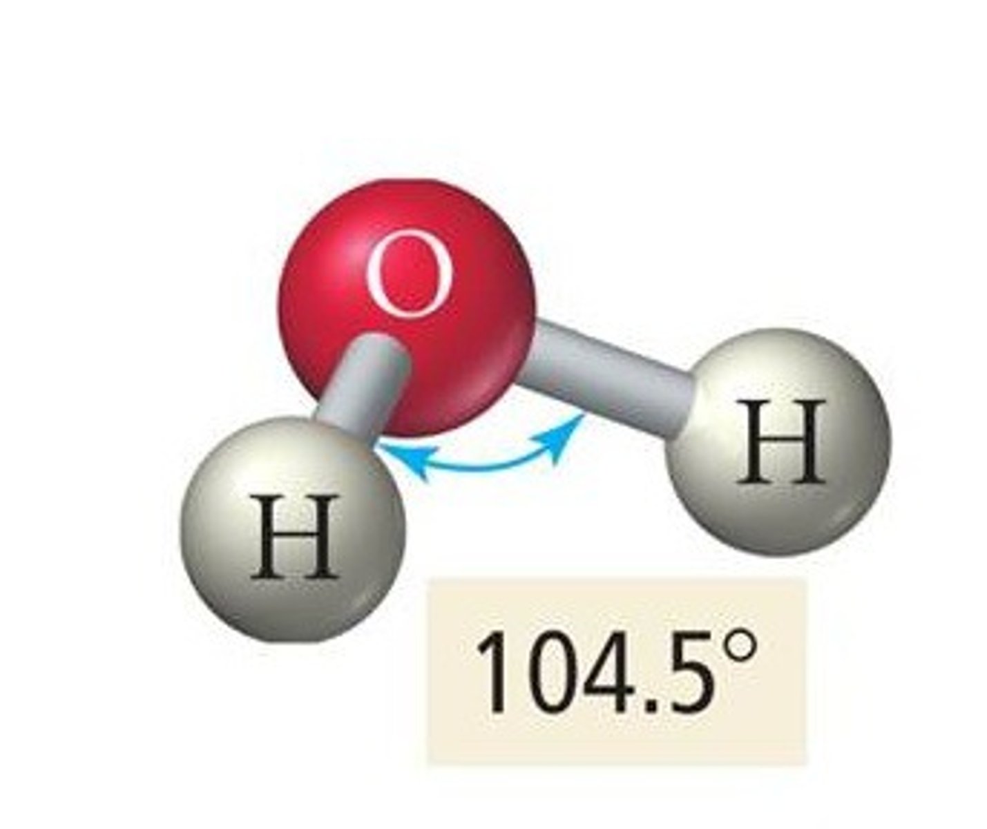 <p>2 shared 2 unshared pairs</p><p>bond angle 104.5°</p><p>4 sp³</p>